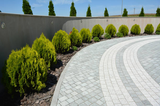 Best Driveway Pavers Contractor  in Cole Camp, MO